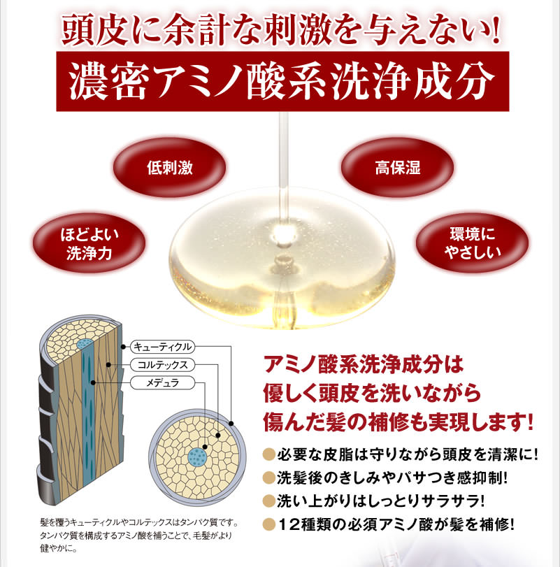 本格アミノ酸のbubkaスカルプケアシャンプー口コミと評価 頭皮の事 スカルプケア を徹底的に考え抜いて誕生